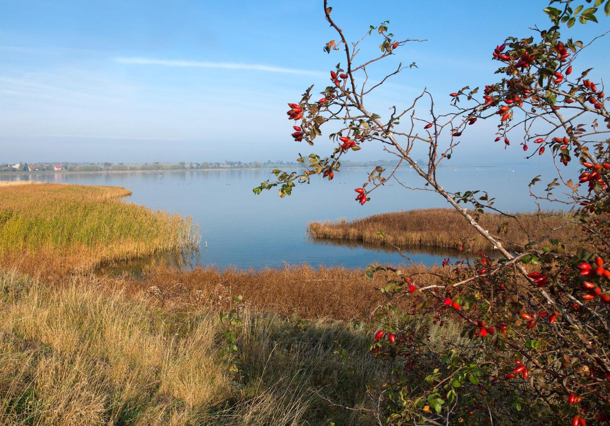 Ferienanlage Poschmann Strohboden Insel Poel Exteriér fotografie