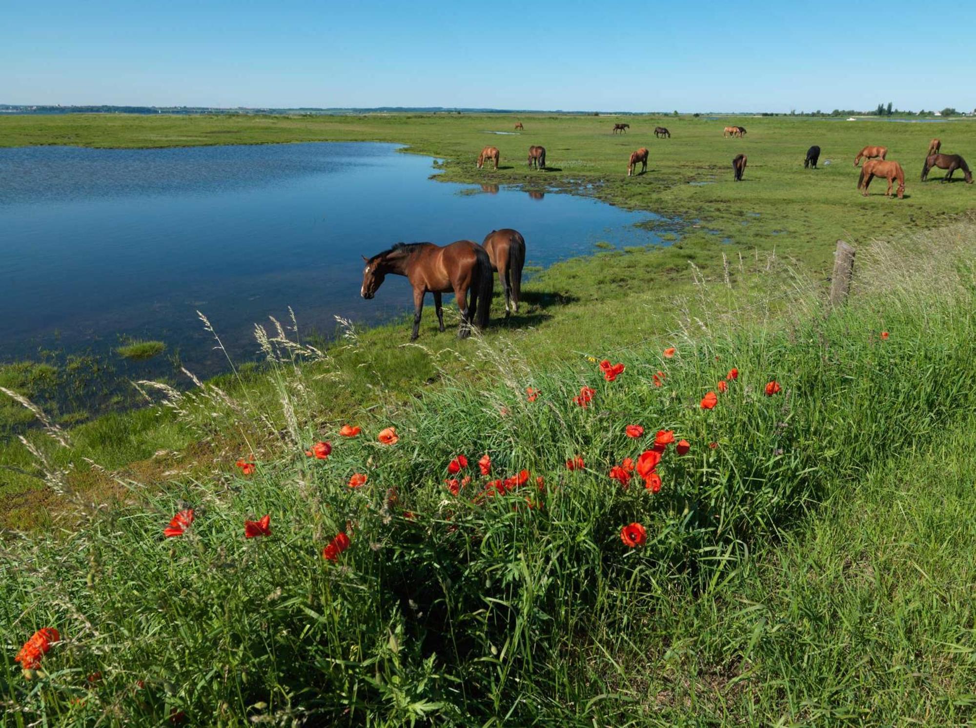 Ferienanlage Poschmann Strohboden Insel Poel Exteriér fotografie