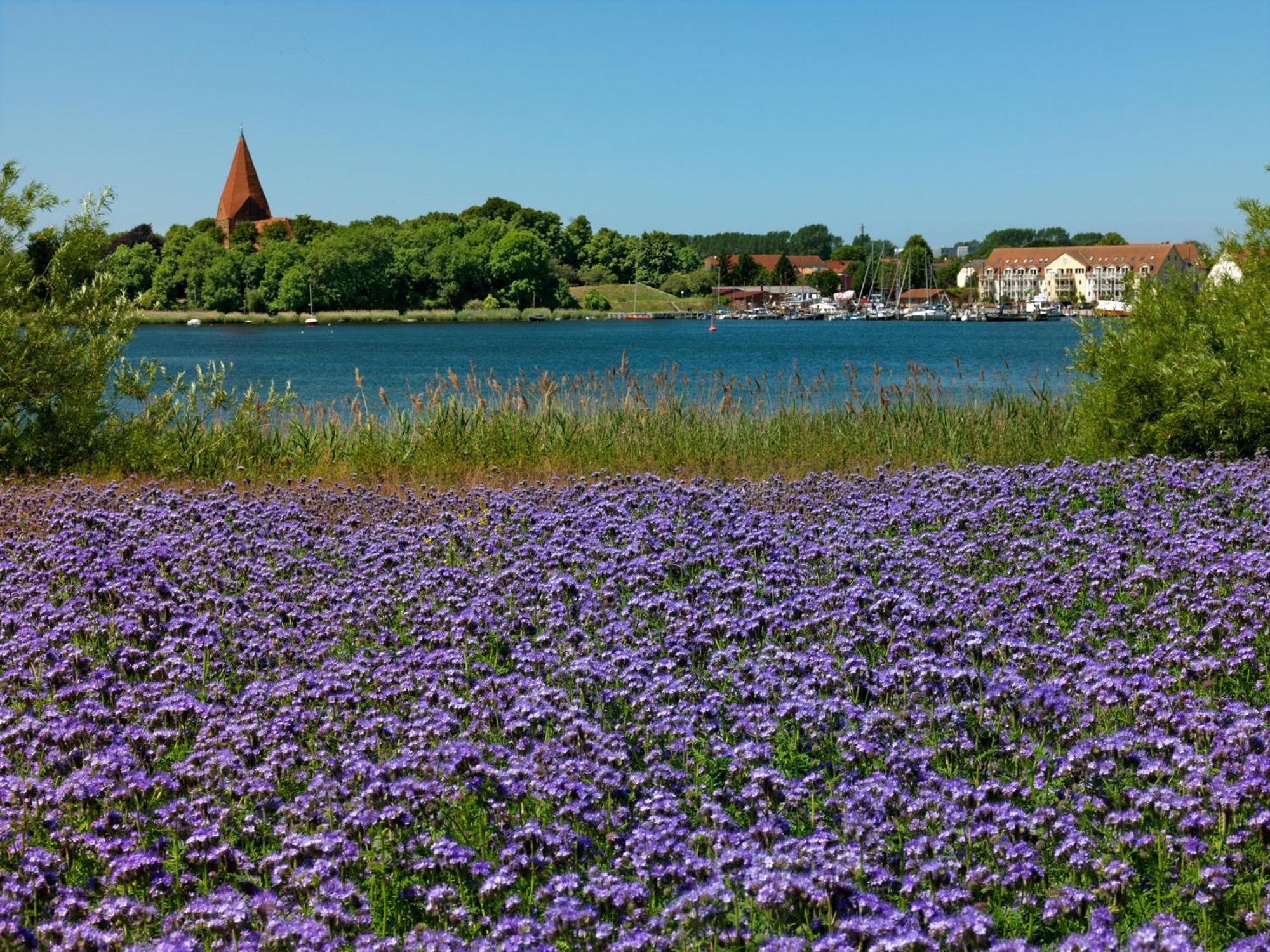 Ferienanlage Poschmann Strohboden Insel Poel Exteriér fotografie