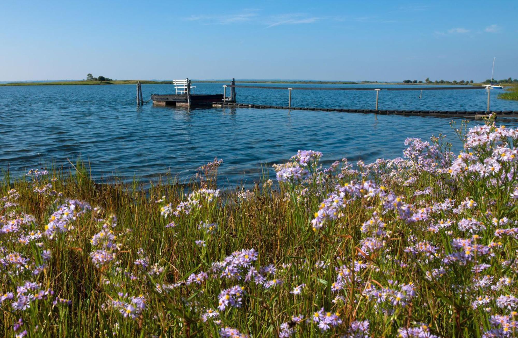 Ferienanlage Poschmann Strohboden Insel Poel Exteriér fotografie